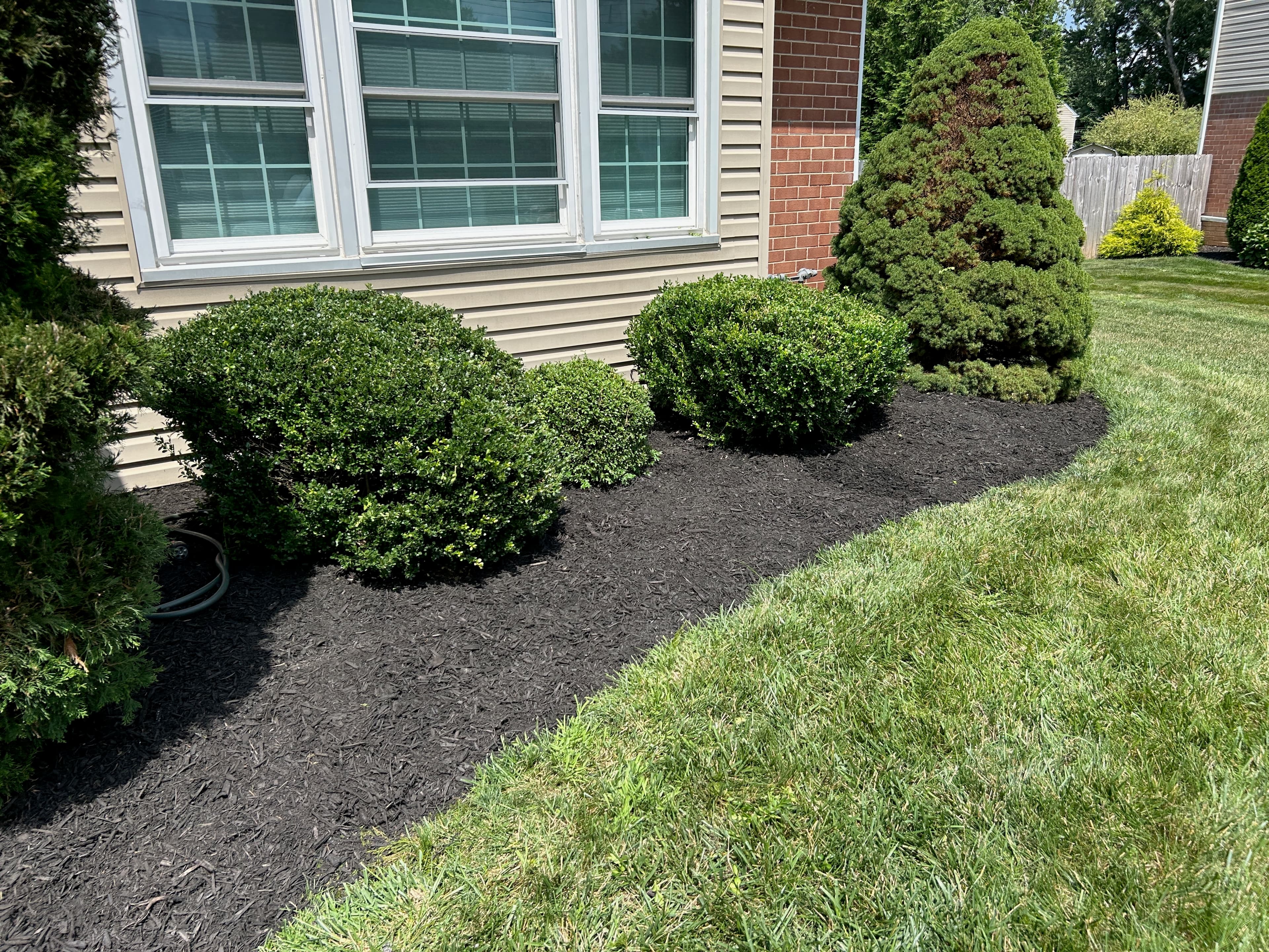 Seasonal Cleanups