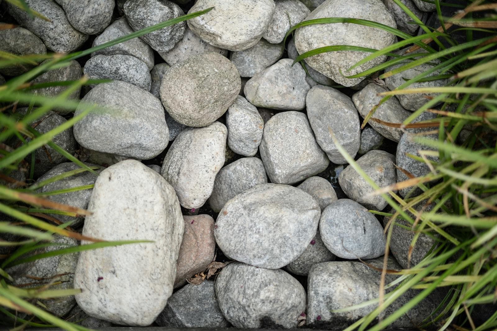 French Drains & Yard Grading