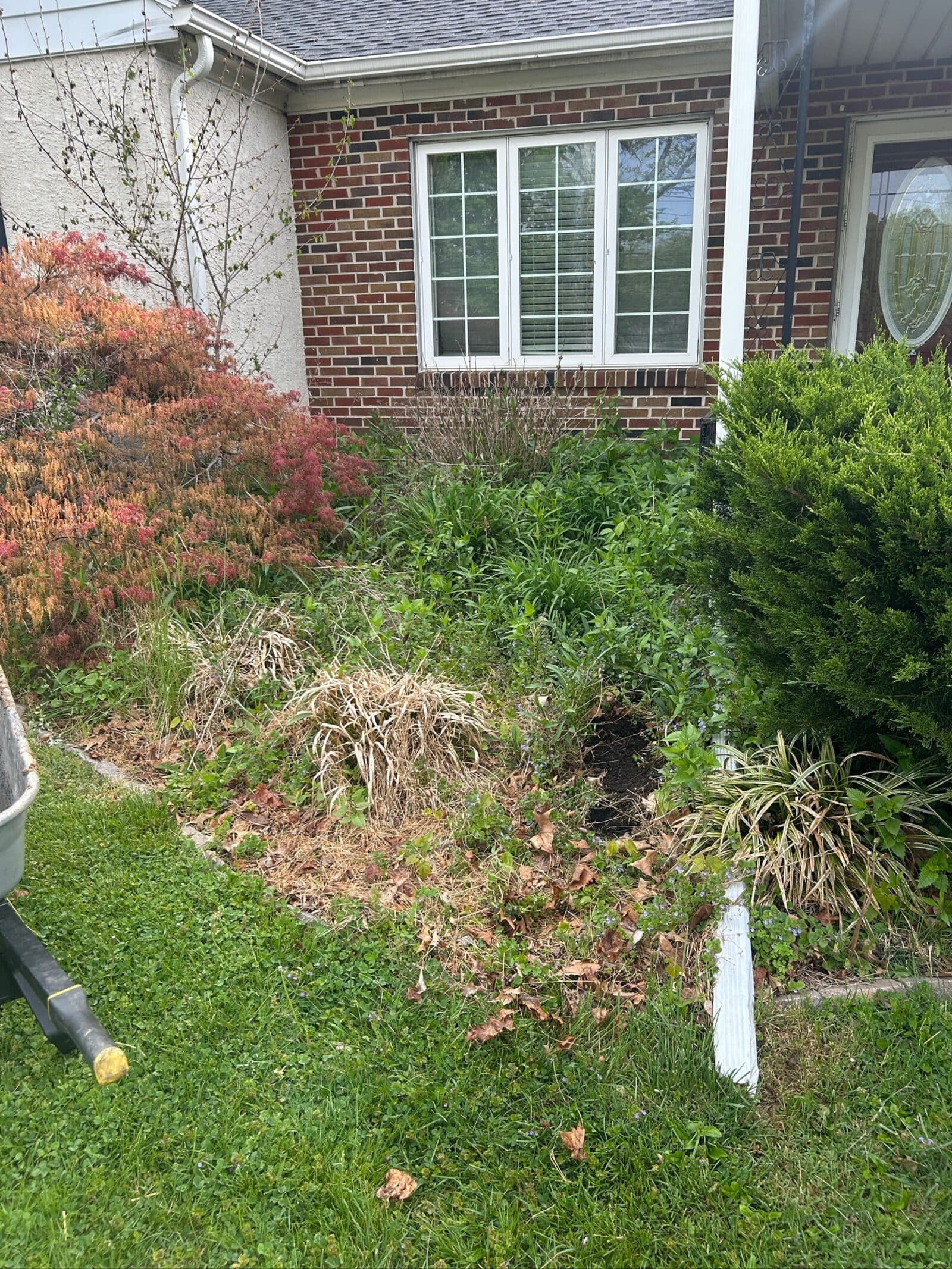 Brighton Road Landscaping project 13 in Montgomery County, PA