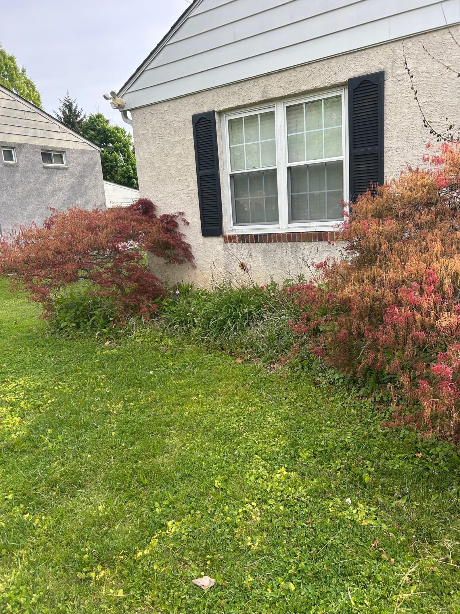 Brighton Road Landscaping project 14 in Montgomery County, PA