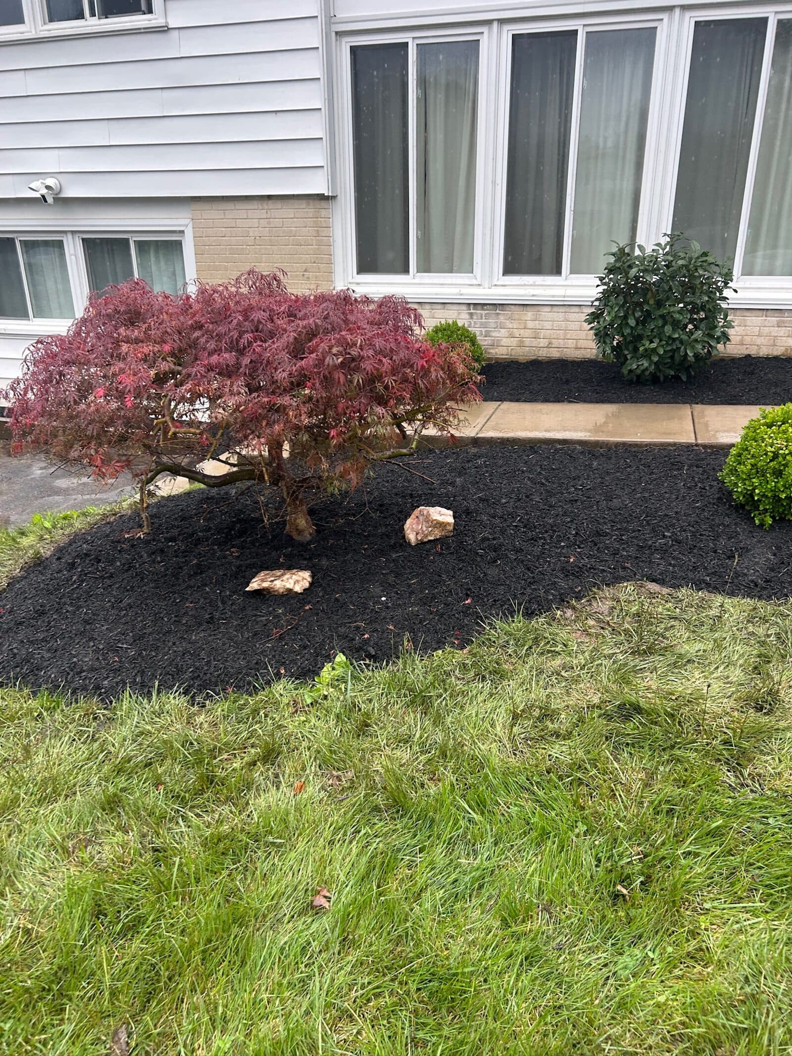 Brighton Road Landscaping project 7 in Montgomery County, PA