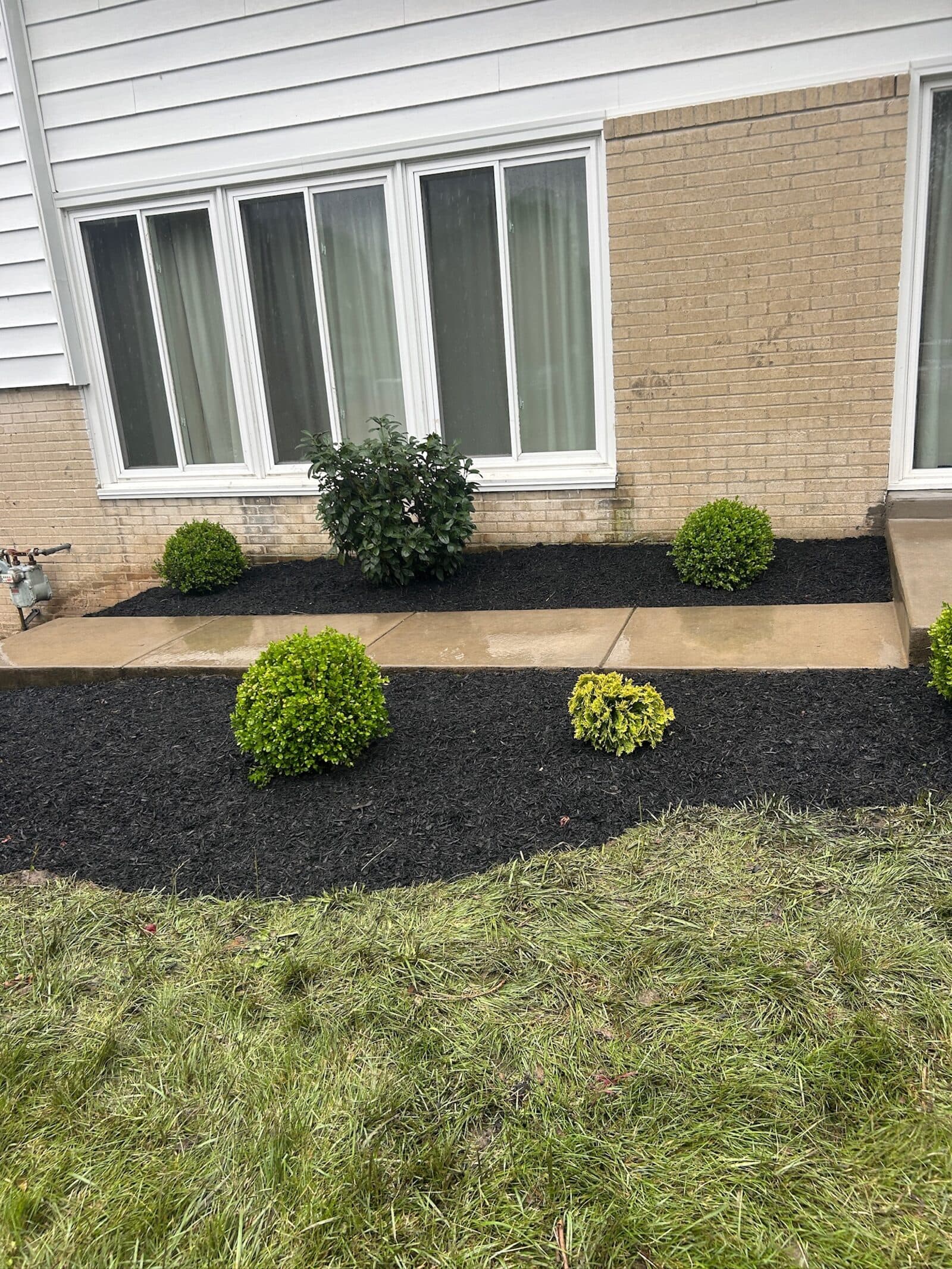 Brighton Road Landscaping project 8 in Montgomery County, PA