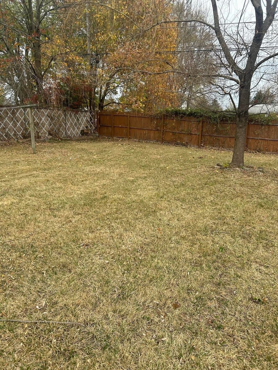 After — Leaf Removal