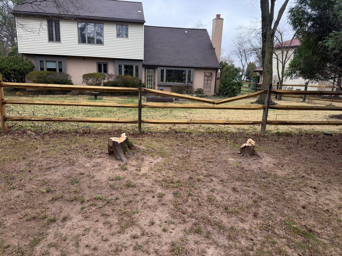 After — Storm Debris