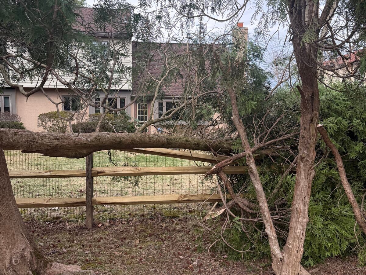 Before — Storm Debris